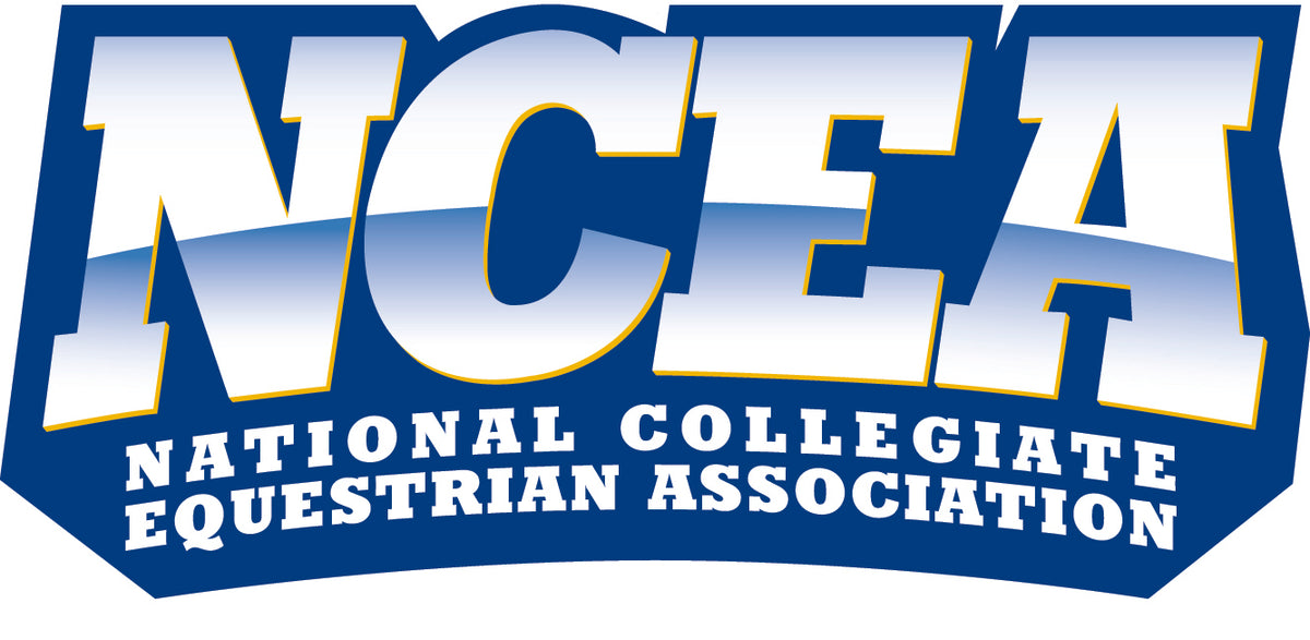 2024 NCEA A Sudden Impulse