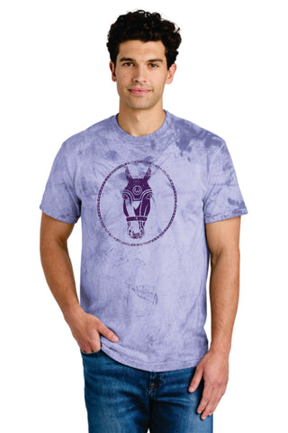 Adult Color Blast Tee