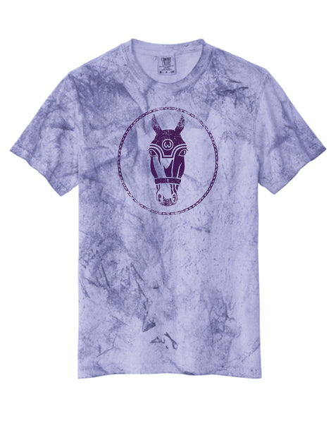 Adult Color Blast Tee