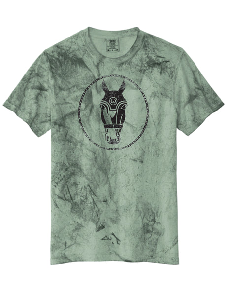 Adult Color Blast Tee