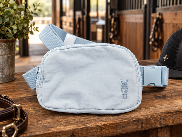 Explorer Sling Bag