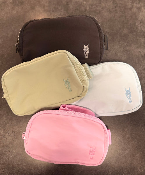 Explorer Sling Bag