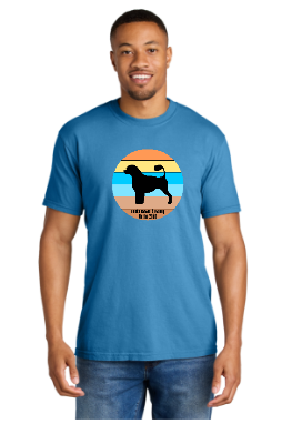 PWDCA Unisex Screen Printed Comfort Tee Striped Logo