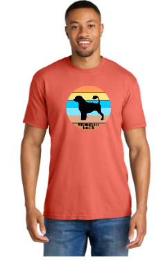 PWDCA Unisex Screen Printed Comfort Tee Striped Logo