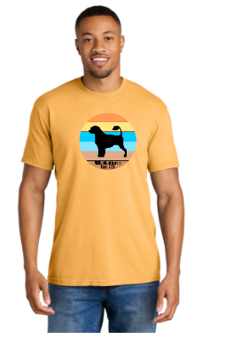 PWDCA Unisex Screen Printed Comfort Tee Striped Logo