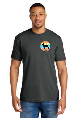 PWDCA Unisex Screen Printed Comfort Tee Striped Logo
