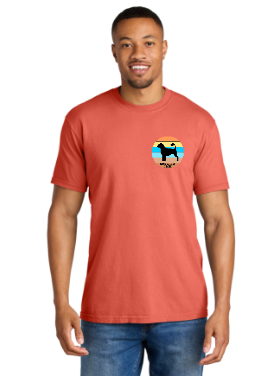 PWDCA Unisex Screen Printed Comfort Tee Striped Logo