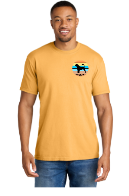 PWDCA Unisex Screen Printed Comfort Tee Striped Logo