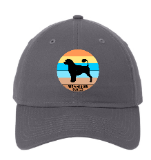 PWDCA Embroidered Baseball Cap
