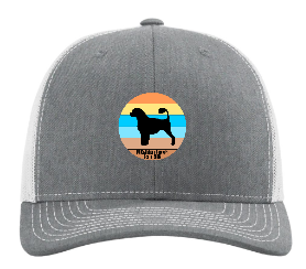 PWDCA Embroidered R112 Trucker Cap