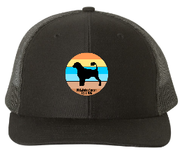 PWDCA Embroidered R112 Trucker Cap