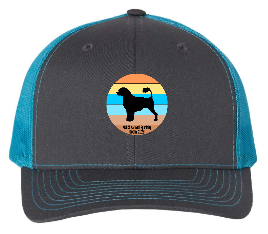 PWDCA Embroidered R112 Trucker Cap