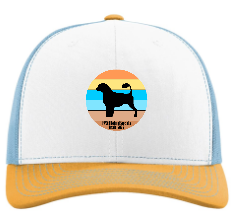 PWDCA Embroidered R112 Trucker Cap