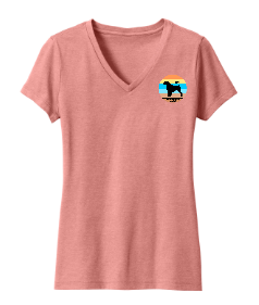 PWDCA Screen Printed Women's V-Neck Tee