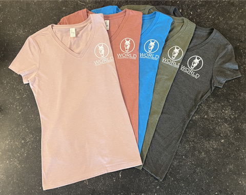Women’s Perfect Blend V-Neck Tee