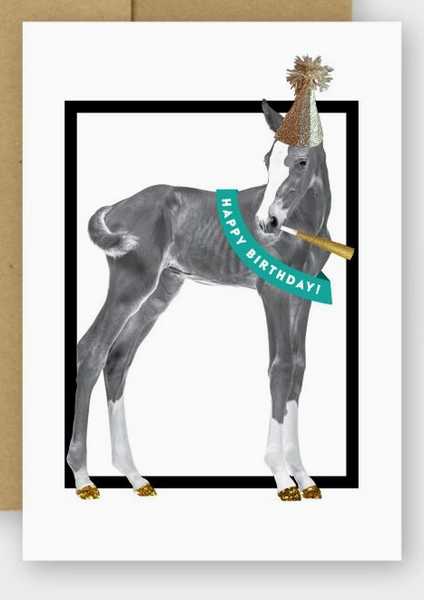 Equine Greeting Cards