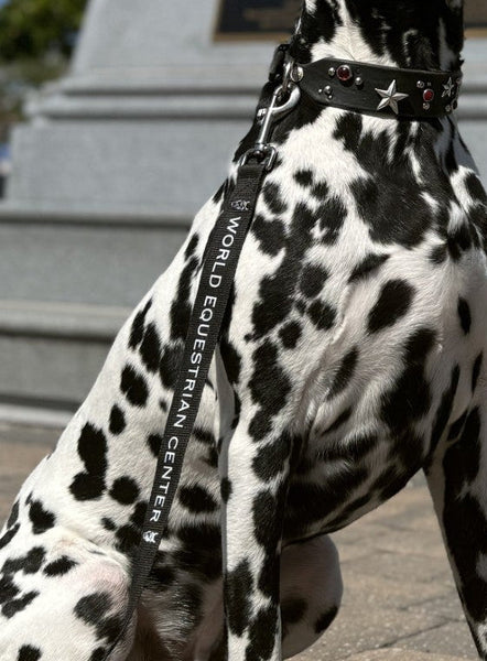 WEC Pet Leash