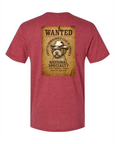 LRCA V-Neck Tee